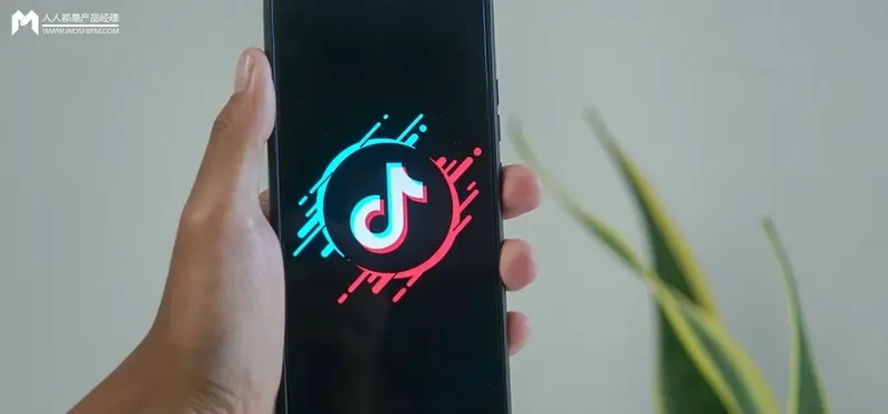 点亮心灵之火——励志故事大剧精选-从逆境中绽放的生命力