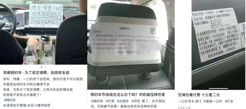 点燃心灵的火花,阅读励志故事的力量:从字里行间汲取力量,让生活更加精彩