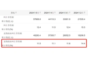 从灰烬中崛起，梦想不灭的励志故事：逆境中的坚持与胜利