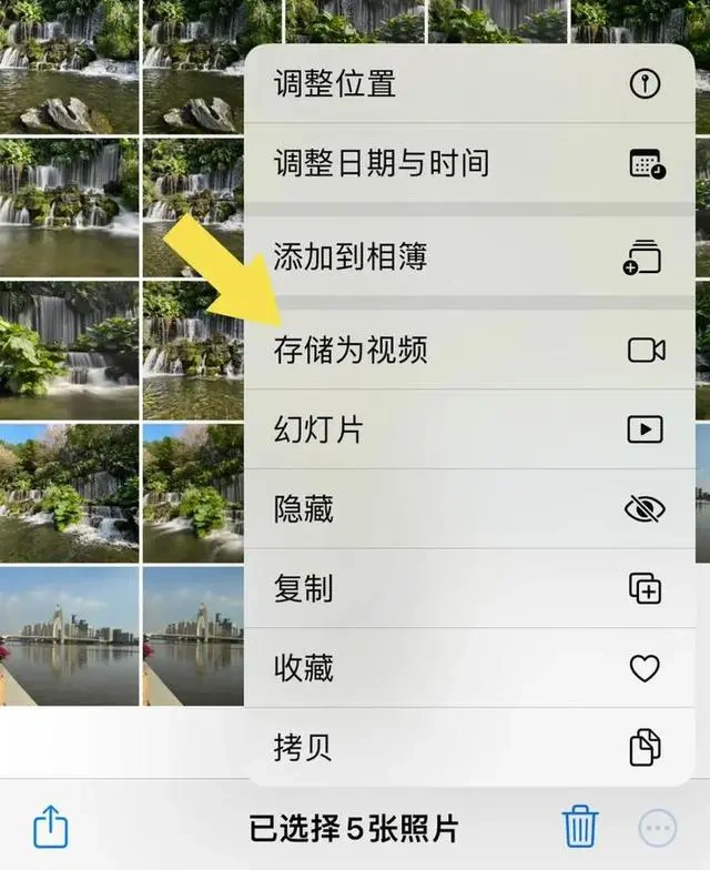 逆境中绽放,五位大学励志人物的故事(从平凡到卓越,他们用坚持书写青春篇章)