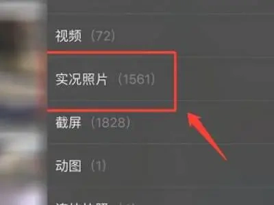 娜扎的奋斗之路(从平凡到辉煌,娜扎励志故事集锦)