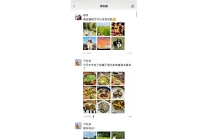 口袋奇兵，小兵立大功的励志传奇：不屈不挠，以小博大的战争英雄们