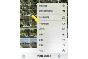 逆境中绽放，五位大学励志人物的故事(从平凡到卓越，他们用坚持书写青春篇章)