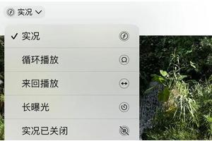 不屈不挠的体育精神，那些让人热泪盈眶的励志体育故事