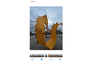 西亚女性的力量，在逆境中绽放的励志故事